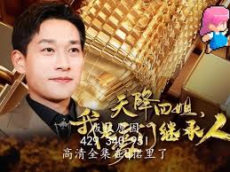 天降四姐，我是豪门继承人