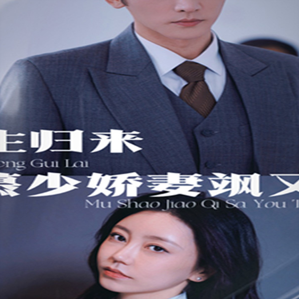 重生归来：慕少的娇妻飒又甜