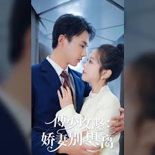 傅少攻略：娇妻别想离