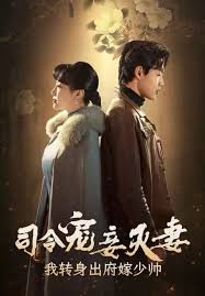 司令宠妾灭妻，我转身出府嫁少帅