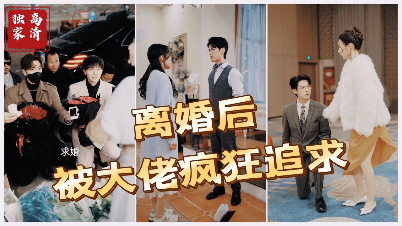 离婚后被大佬疯狂追求