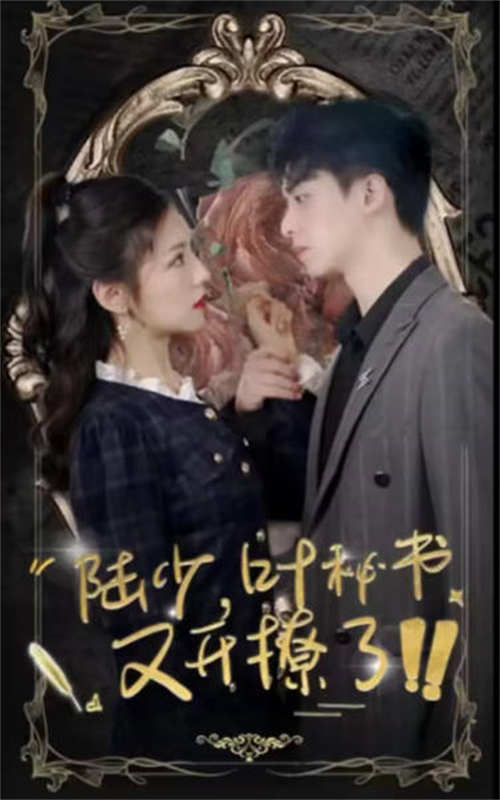 陆少叶秘书又开撩了