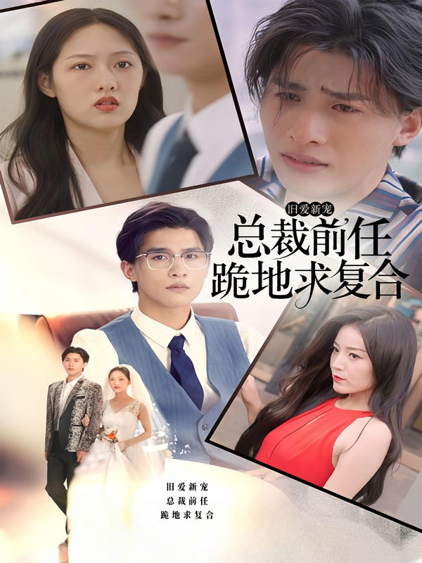 旧爱新宠，总裁前任跪地求复合