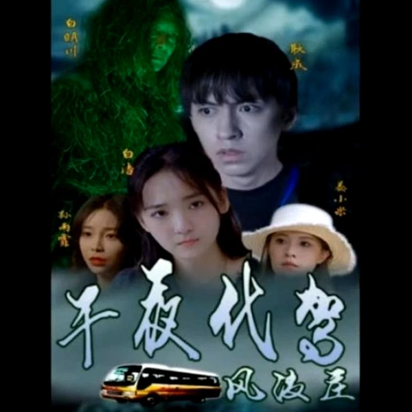 午夜代驾风波庄