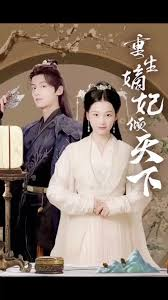 重生嫡妃倾天下