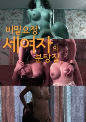 三位秘密仙女的除尘