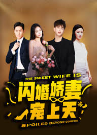 闪婚娇妻宠上天