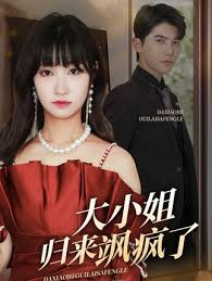 大小姐归来